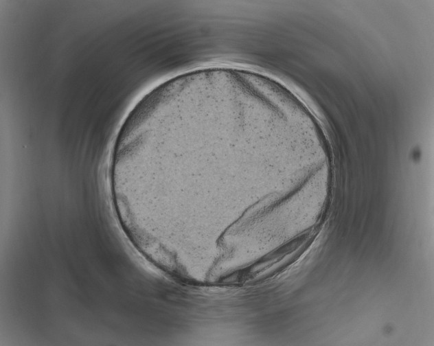 X0000116841246201001151240