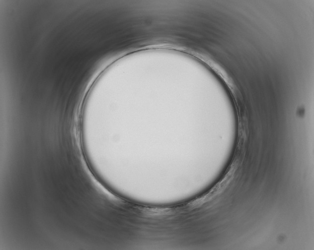 X0000116841247201001151240