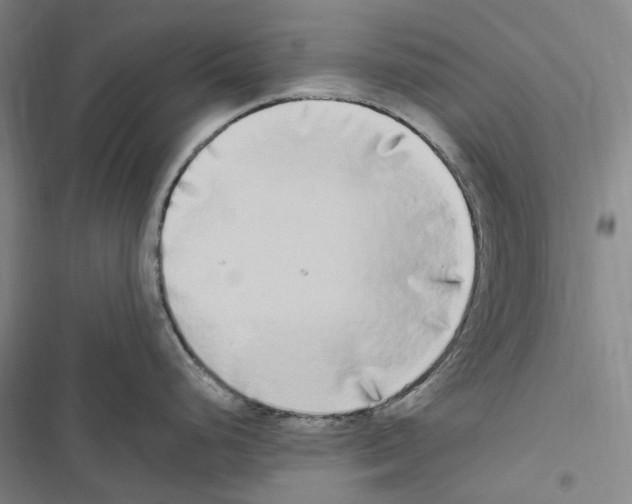 X0000116841248201001151240