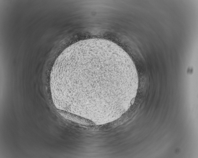 X0000116841249201001151240