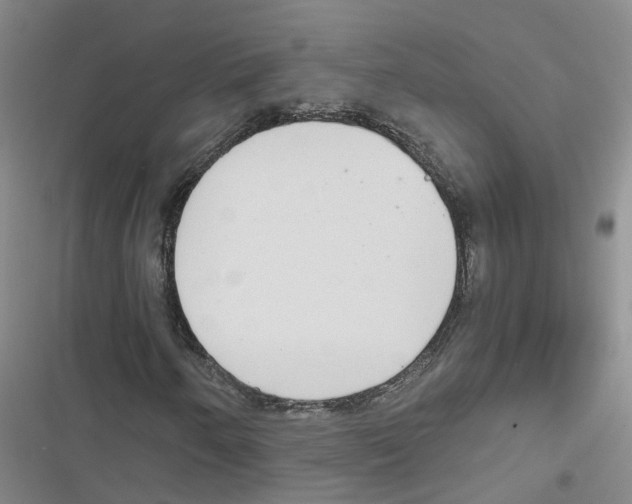 X0000116841250201001151240