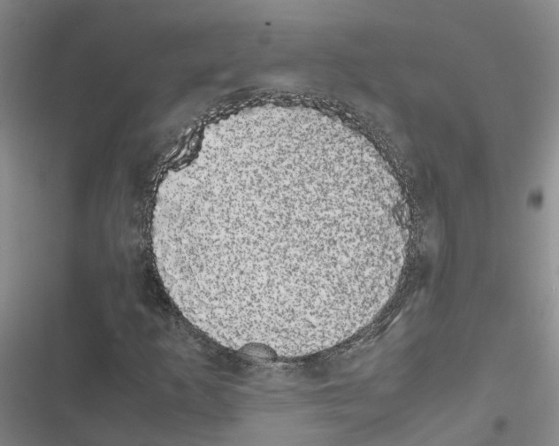 X0000116841253201001151240