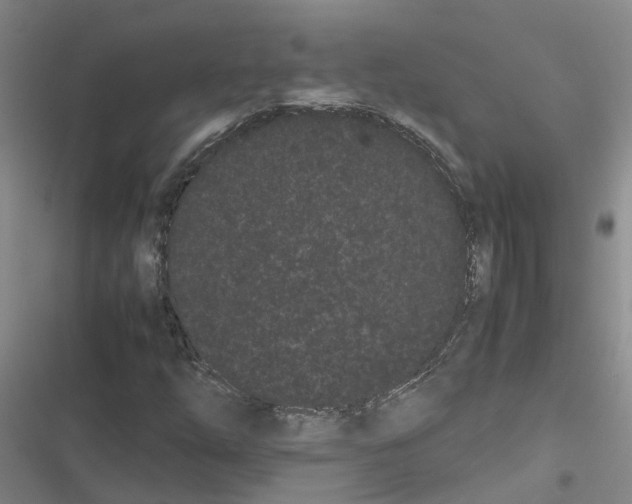 X0000116841254201001151240