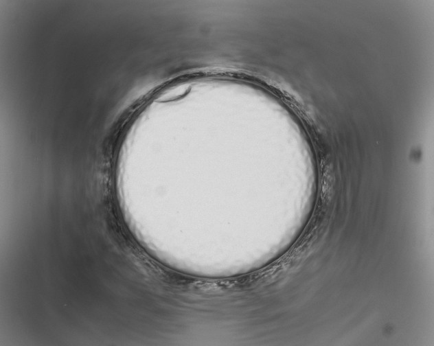 X0000116841255201001151240