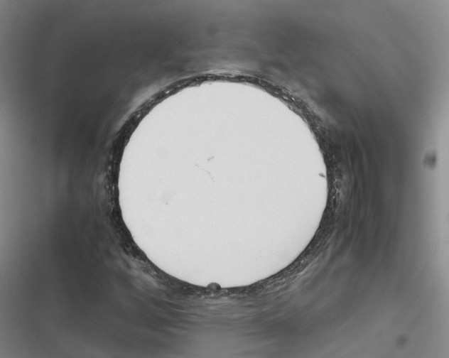 X0000116841256201001151240