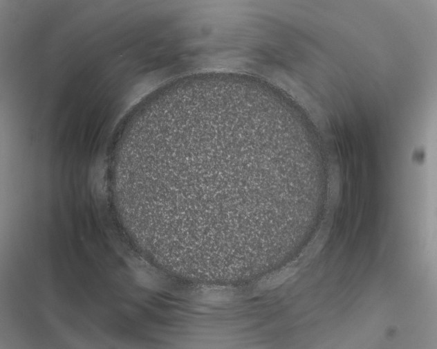 X0000116841258201001151240