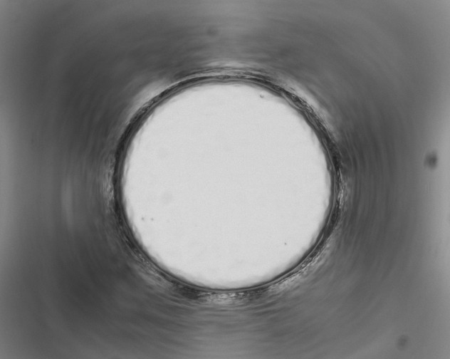 X0000116841259201001151240