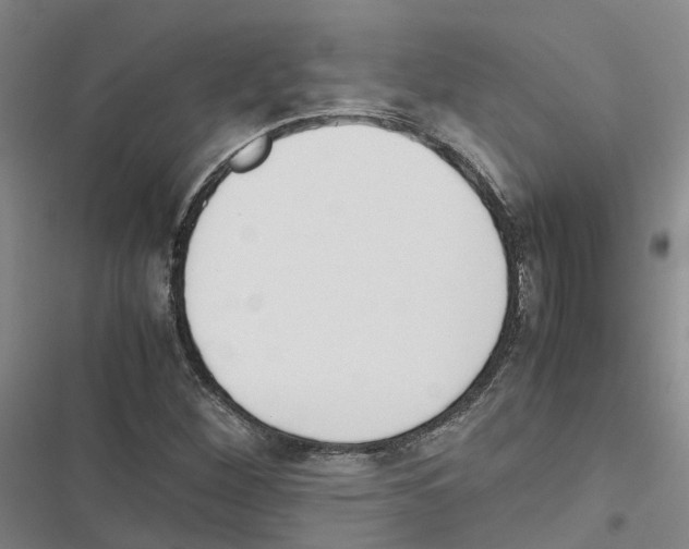 X0000116841260201001151240