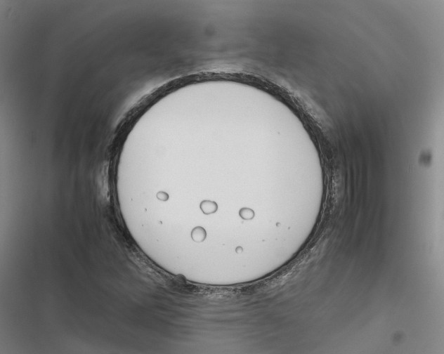 X0000116841262201001151240