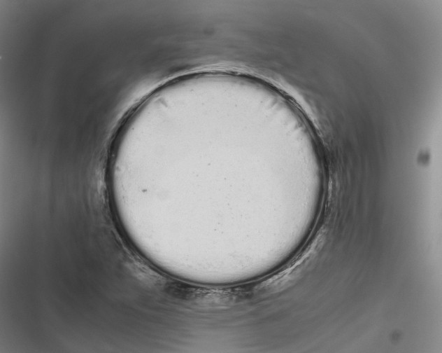 X0000116841263201001151240