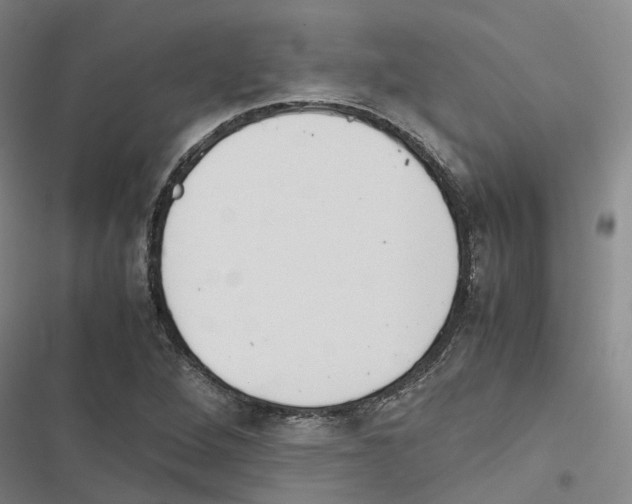 X0000116841264201001151240