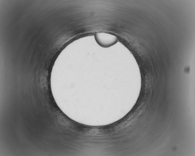 X0000116841265201001151240