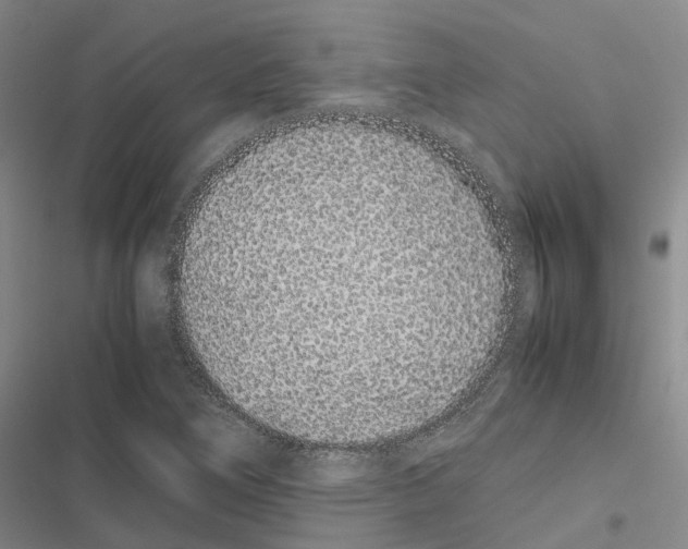 X0000116841266201001151240