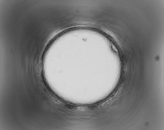 X0000116841267201001151240