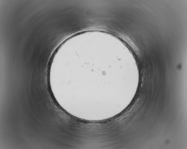 X0000116841268201001151240