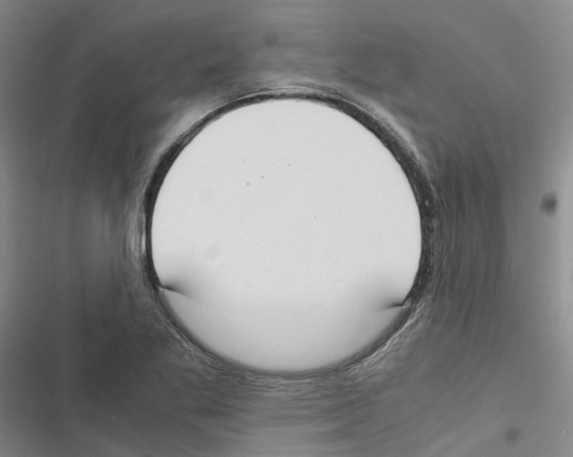 X0000116841269201001151240