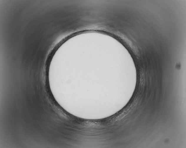 X0000116841270201001151240