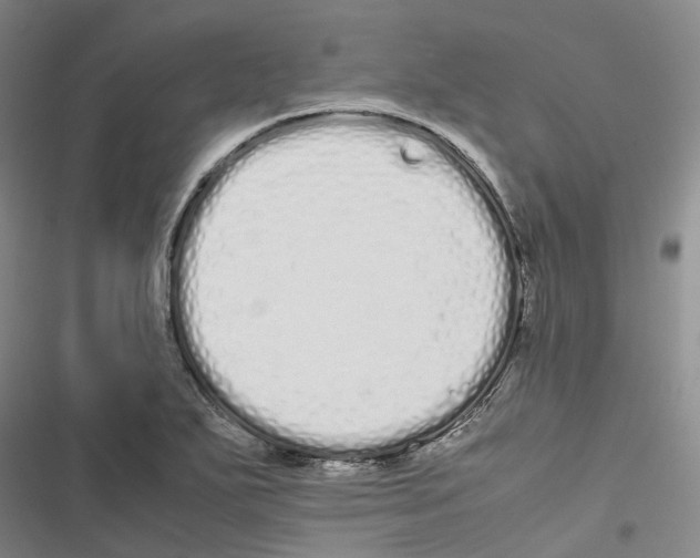 X0000116841271201001151239