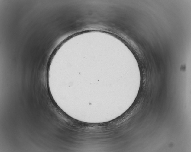 X0000116841272201001151239