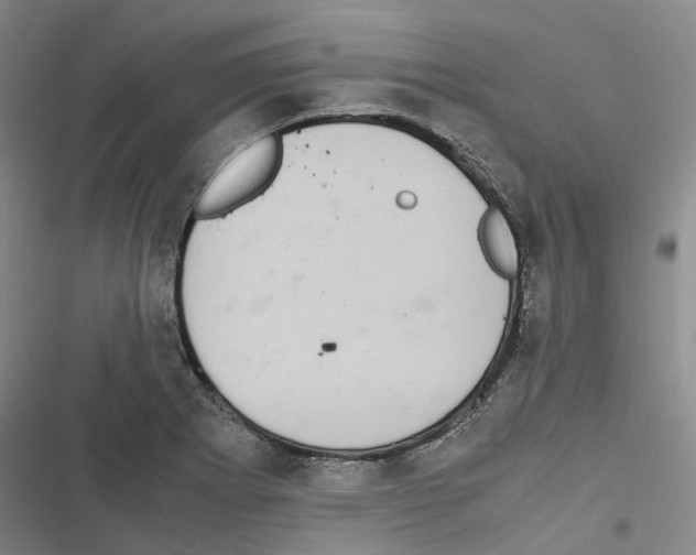 X0000116841273201001151239