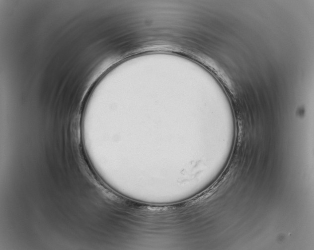 X0000116841274201001151239