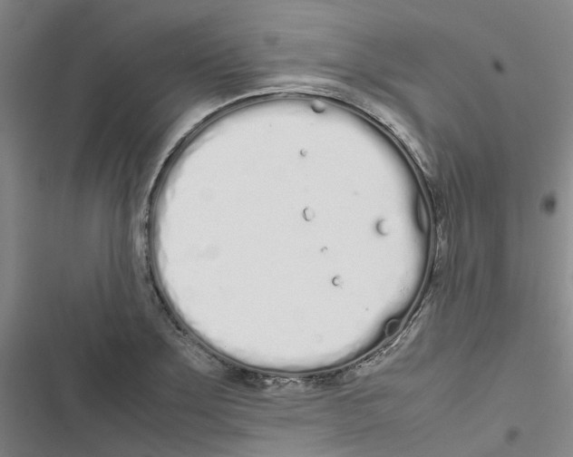 X0000116841275201001151239