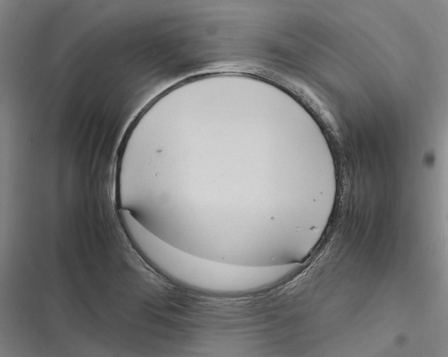 X0000116841276201001151239