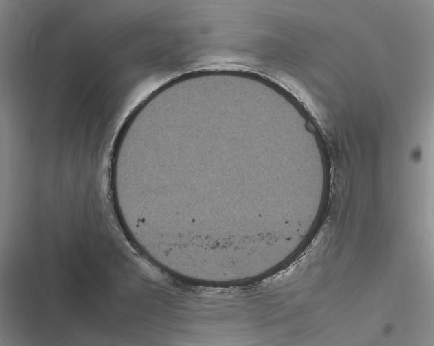 X0000116841277201001151239