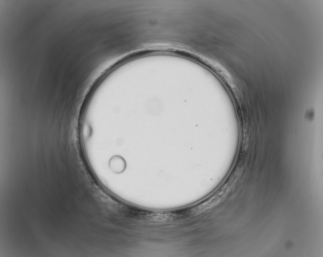 X0000116841279201001151239