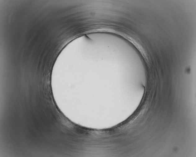 X0000116841281201001151239