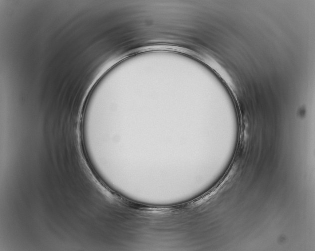 X0000116841282201001151239