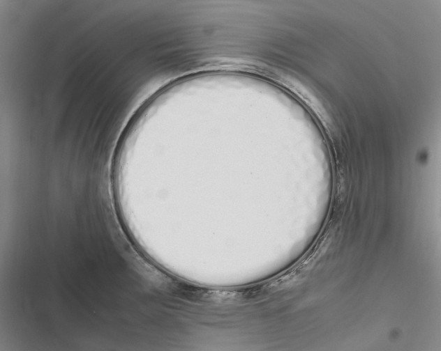 X0000116841283201001151239