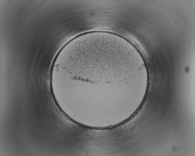 X0000116841284201001151239