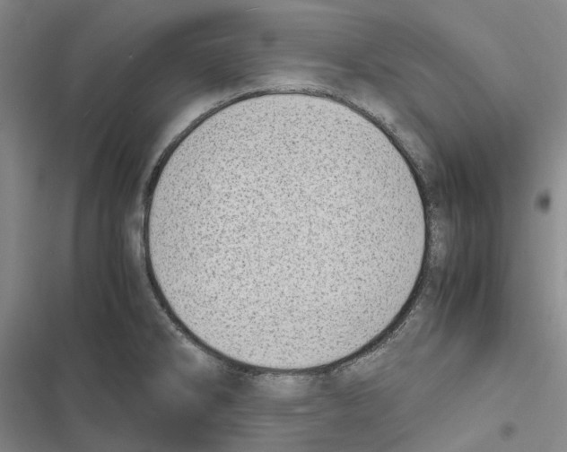 X0000116841286201001151239