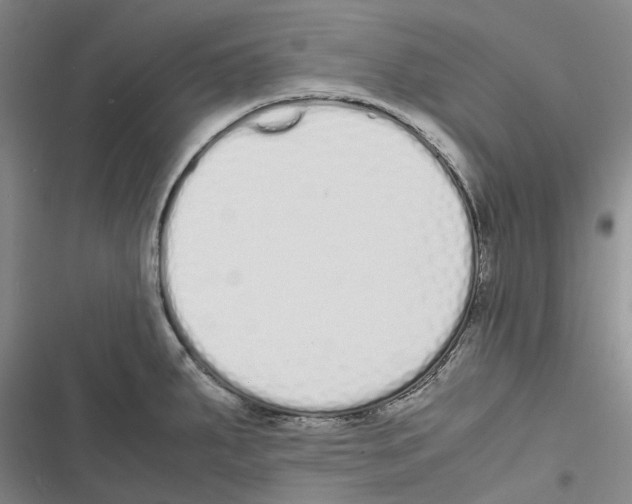 X0000116841287201001151239