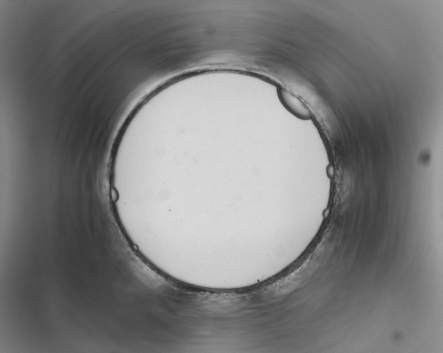 X0000116841288201001151239