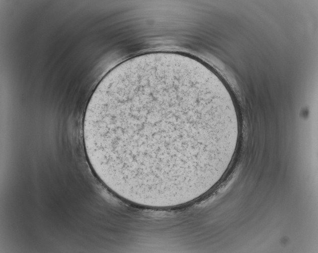 X0000116841289201001151239