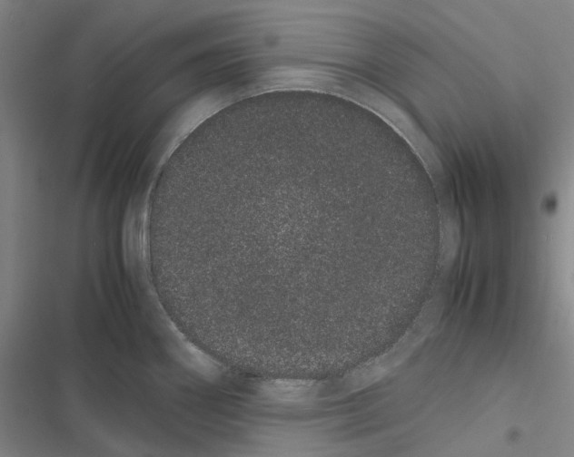 X0000116841290201001151239