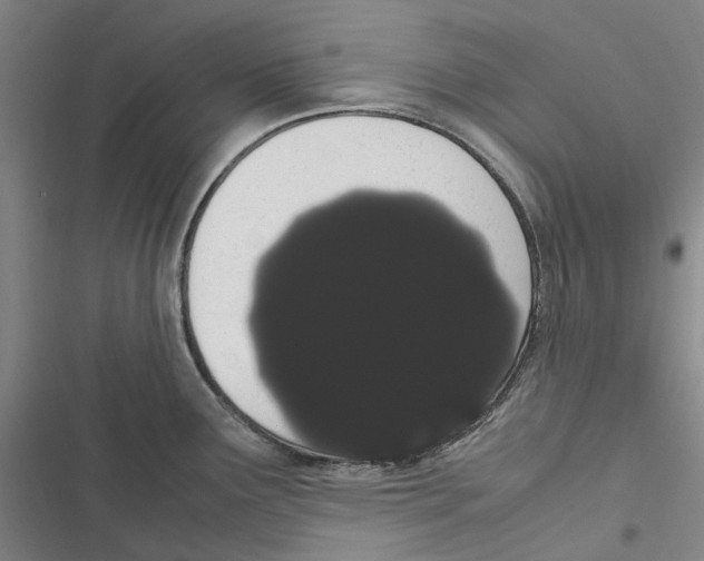 X0000116841291201001151239