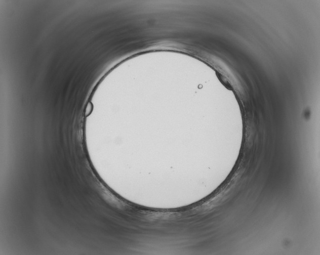 X0000116841292201001151239