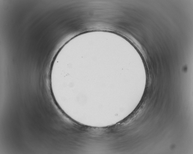 X0000116841293201001151239