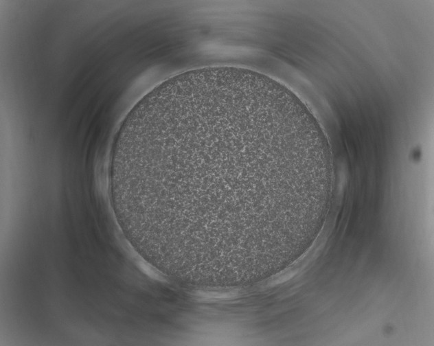 X0000116841294201001151239