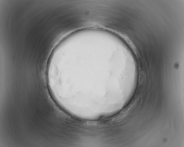 X0000116841295201001151239