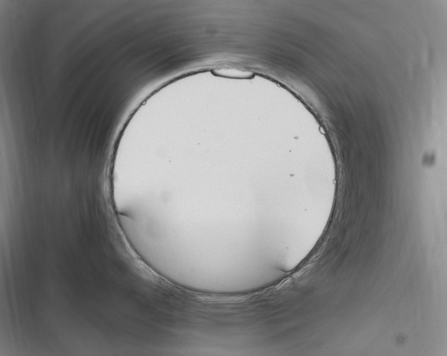 X0000116841296201001151239