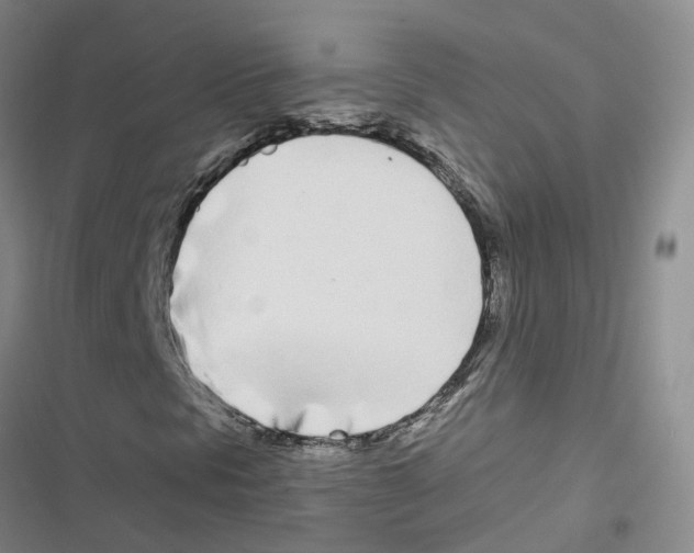 X0000116841297201001151238