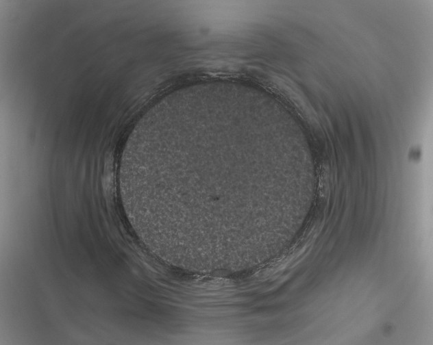 X0000116841298201001151239