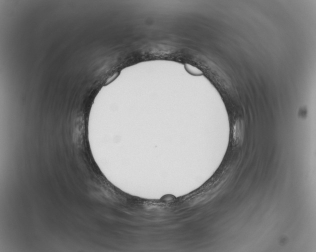 X0000116841299201001151239