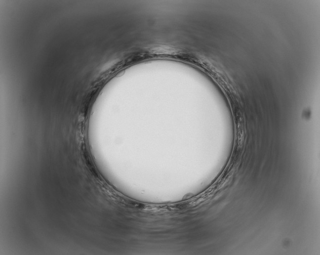 X0000116841301201001151239