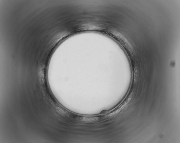 X0000116841305201001151239