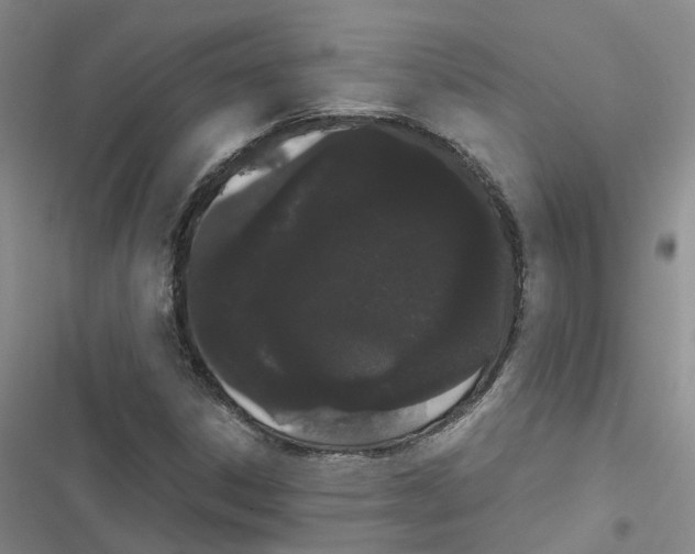 X0000116841306201001151239